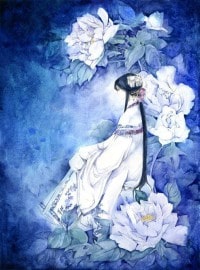 光芒丛林